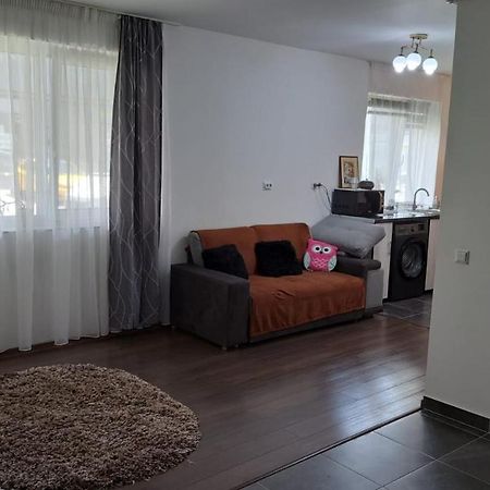 Appartamento Cozy Nest Sinnicoara Esterno foto